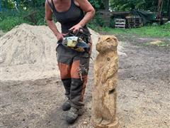 IMG-20190624-WA0054.jpg