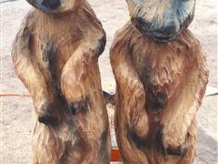 20180819_092933.jpg